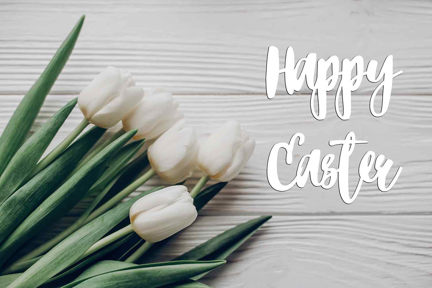Happy Easter - White Plains dentist | Dr Hong | Northbrook IL